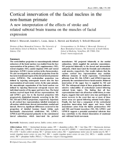 Cortical innervation of the facial nucleus in the non