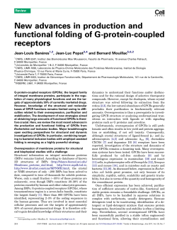 New advances in production and functional folding of G