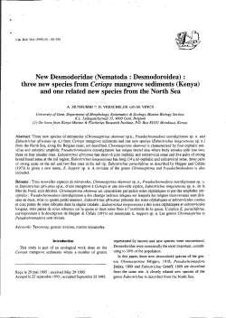 New Desmodoridae (Nematoda : Desmodoroidea) : three new