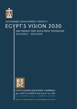 Egypt`s Vision 2030