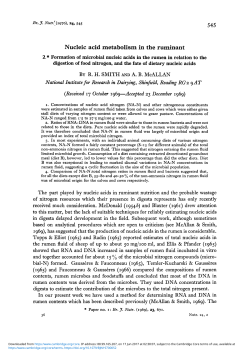 Nucleic acid metabolism in the ruminant