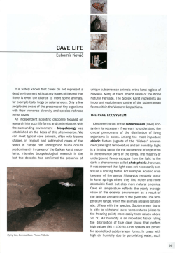 CAVE LIFE