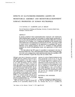 effects of glutathione-oxidizing agents on microtubule assembly and