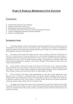 part 3: female reproductive system