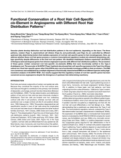 Functional Conservation of a Root Hair Cell-Specific cis