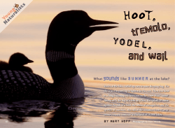 Hoot, Tremolo, Yodel, and Wail