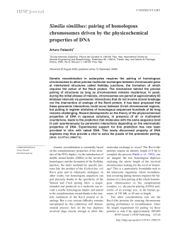 Similia similibus: pairing of homologous chromosomes driven by the