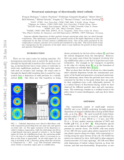 Structural anisotropy of directionally dried colloids
