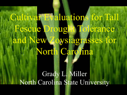 Tall Fescue Drought Tolerance - TurfFiles