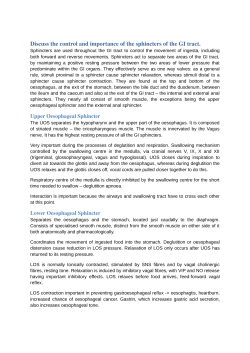 Discuss the control and importance of the sphincters of the GI tract.