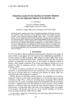 Mutations caused by the Insertion of Genetic Material into the