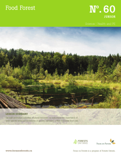 Food Forest - CW Perry School