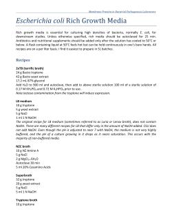 Escherichia coli Rich Growth Media