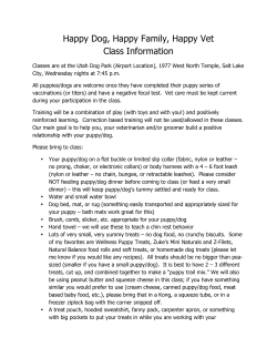 Happy Dog, Happy Family, Happy Vet Class Information