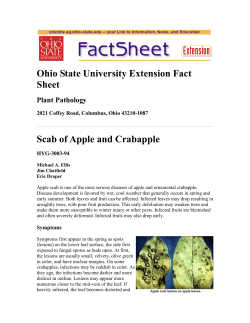 Ohio State University Extension Fact Sheet Scab of Apple and