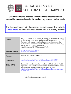 Genome analysis of three Pneumocystis species reveals adaptation