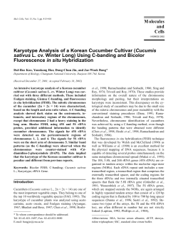 Cucumis sativus L. cv. Winter Long