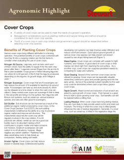 Cover Crops - Stewart Seeds