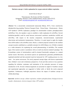PDF only - at www.arxiv.org.