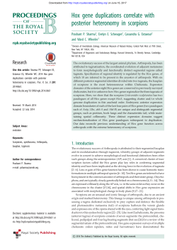 Hox gene duplications correlate with posterior heteronomy in