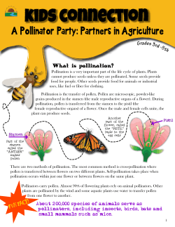 Pollinator Party - Kansas Foundation for Agriculture in the Classroom