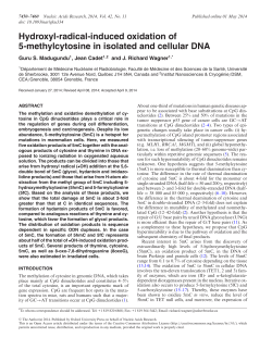 Hydroxyl-radical-induced oxidation of 5
