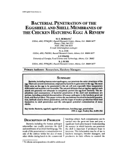 BACTERIAL PENETRATION OF THE EGGSHELL AND SHELL