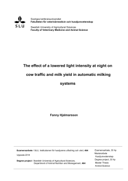 The effect of a lowered light intensity at night on cow traffic and milk