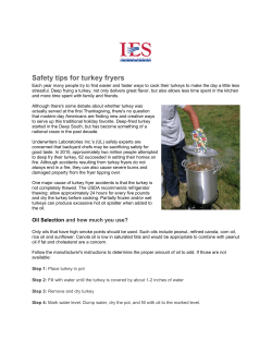 Safety tips for turkey fryers