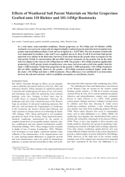 Effects of Weathered Soil Parent Materials on Merlot Grapevines
