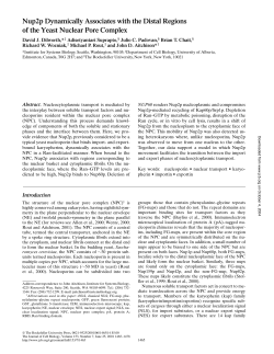Nup2p Dynamically Associates with the Distal Regions of the Yeast