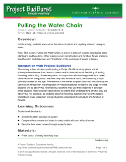 Pulling the Water Chain