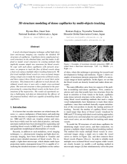 3D Structure Modeling of Dense Capillaries by Multi