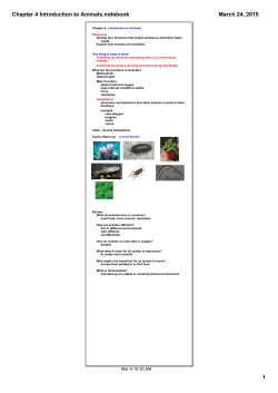 Chapter 4 Introduction to Animals.notebook