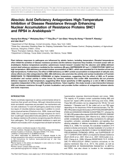 Abscisic Acid Deficiency Antagonizes High