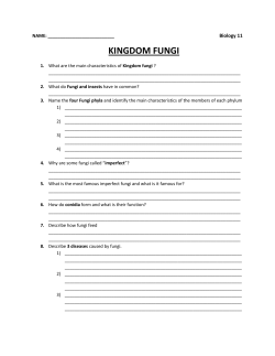 KINGDOM FUNGI