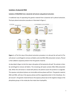 Molecular Biology Tools