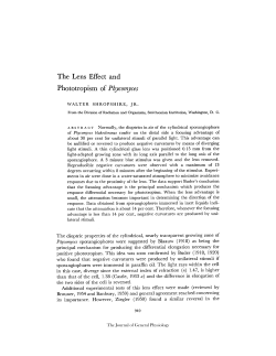 The Lens Effect and Phototropism of Phycomyces