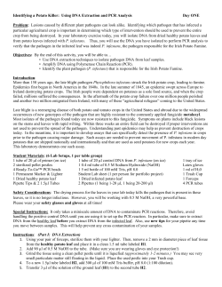 Identifying a Potato Killer: Using DNA Extraction and
