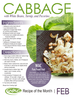 Cabbage with White Beans, Turnip, and Pecorino