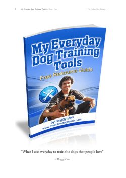 6 Secrets To A Well-Behaved Dog