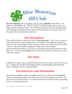 Fair Decorations Fair Duty: Fair Interviews and Information: