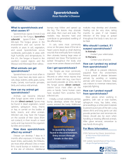 Rose Handler`s Disease