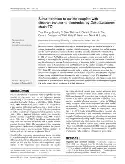 Sulfur oxidation to sulfate coupled with electron