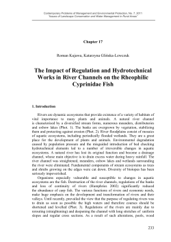 The Impact of Regulation and Hydrotechnical Works in River