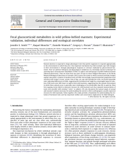Fecal glucocorticoid metabolites in wild yellow