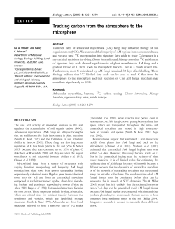Tracking carbon from the atmosphere to the rhizosphere