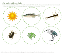 Cut and stick food chain