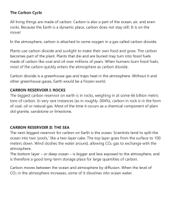 File - Biology with​Mrs. Ellsworth