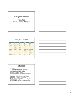 Eukaryotic Microbes Parasites